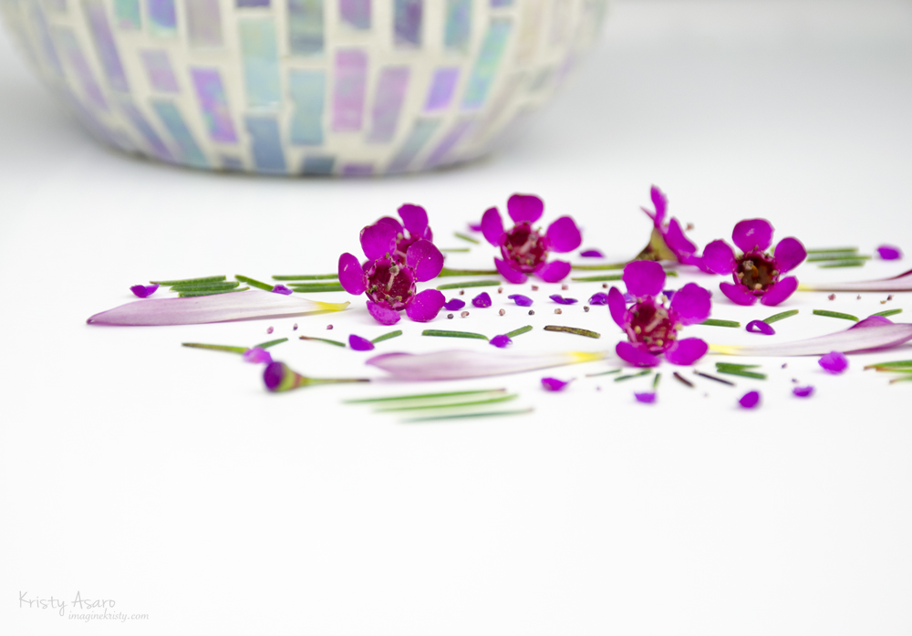 Kristy Asaro | Floral Patterns